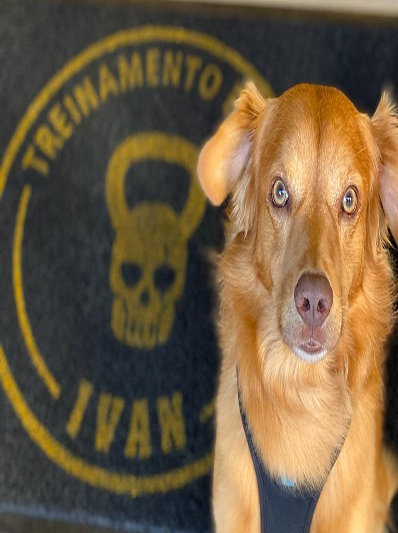 babarveoiotestepeque